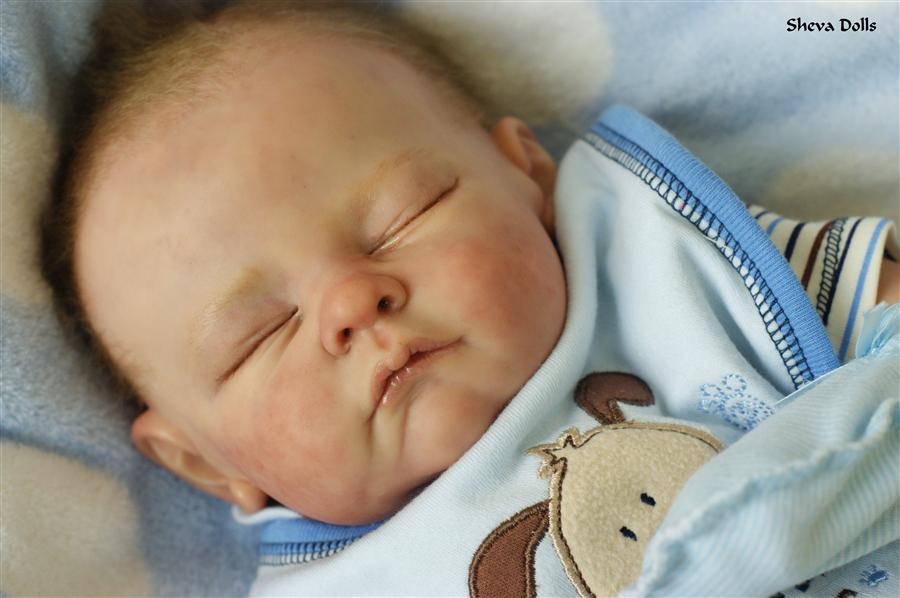 Linda murray reborn shop